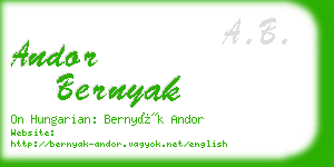 andor bernyak business card